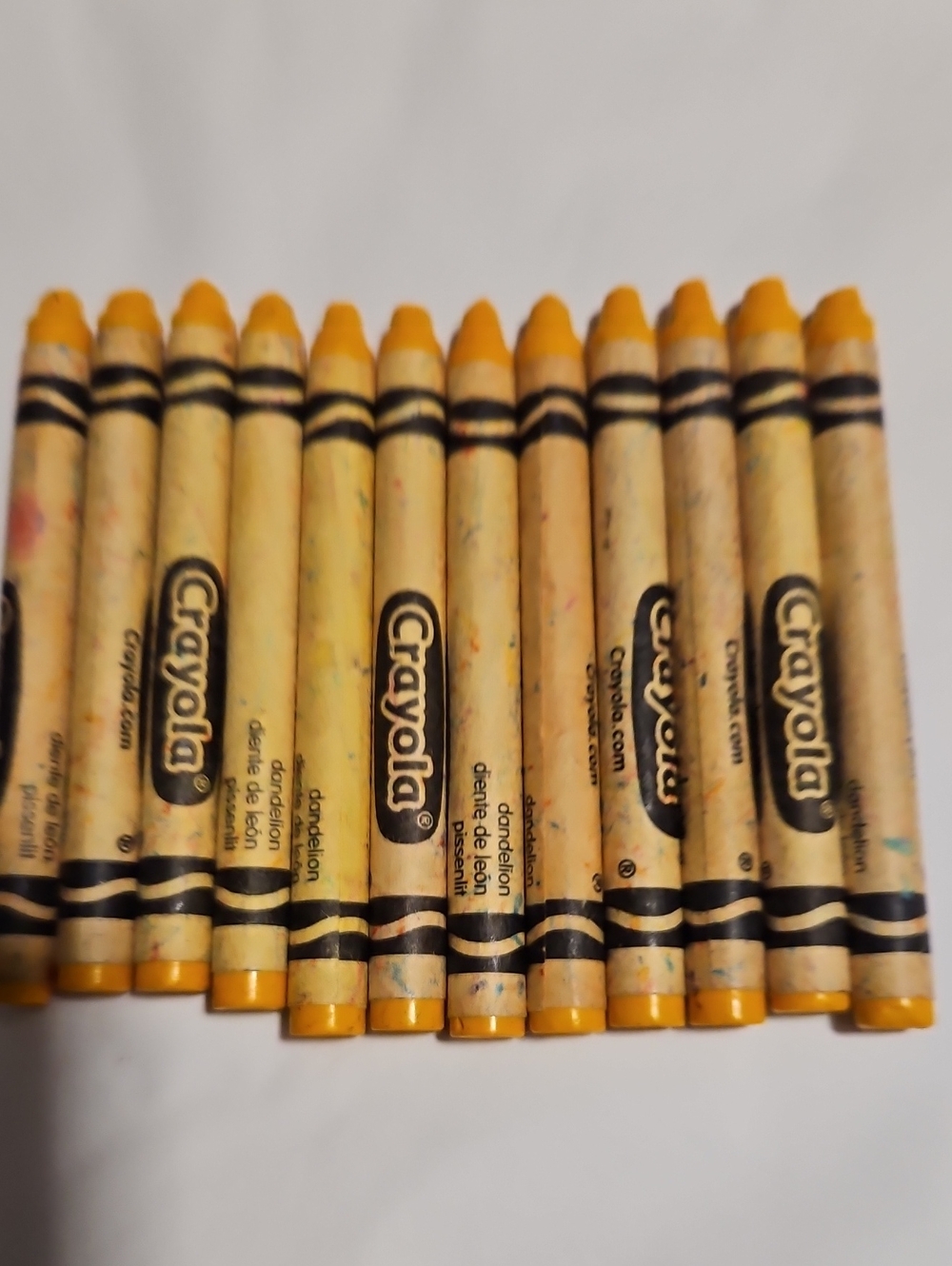 CRAYOLA DANDELION SET OF 12 CRAYONS